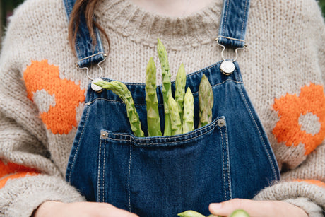 Witte asperge kweken met www.moestuinweetjes.com