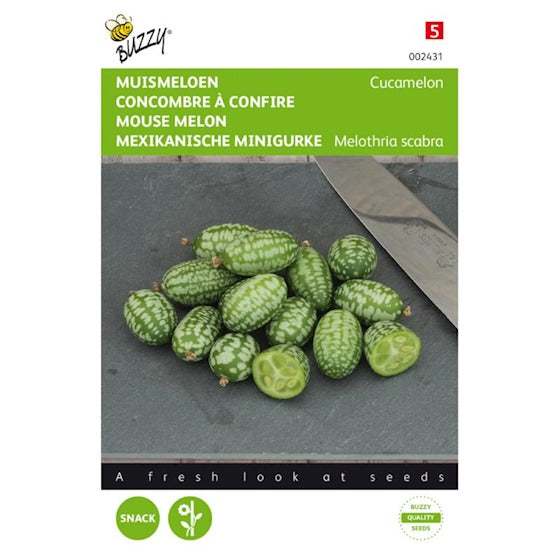 Cucamelons melon souris 15 graines Buzzy Seeds 