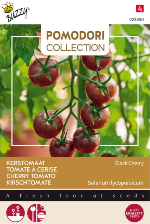 Kerstomaat zwart Black Cherry - 10 zaden