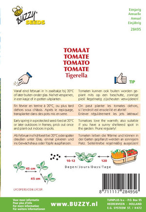 Tomate Tigerella 1,5 gramme Buzzy