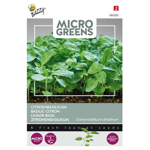 Buzzy Microgreens kiemgroenten. Citroenbasilicum 1 gram