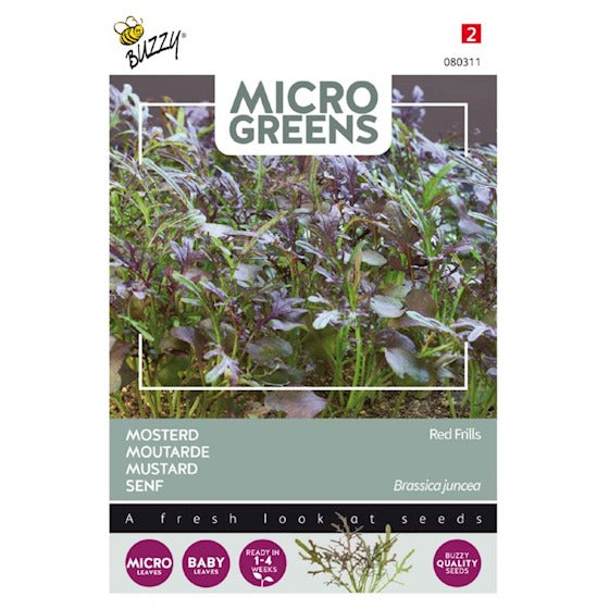 Germes Buzzy Microgreens. Moutarde Rouge Frills 1 gramme