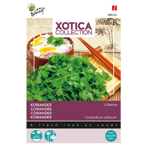 Buzzy® Xotica Koriander Cilantro