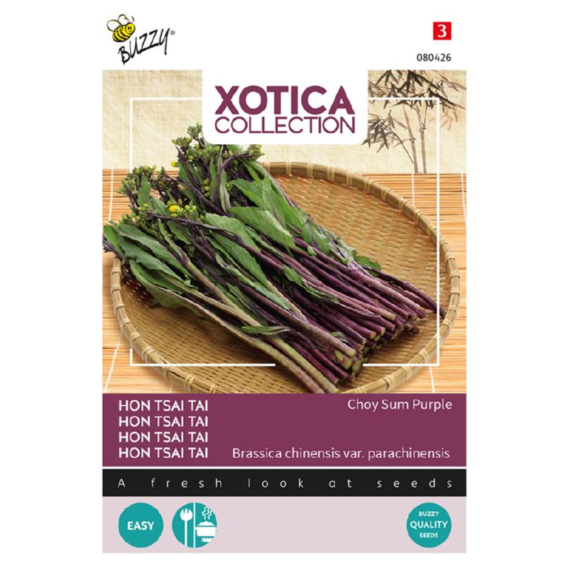 Buzzy® Xotica Hon Tsai Tai Choy Sum Purple