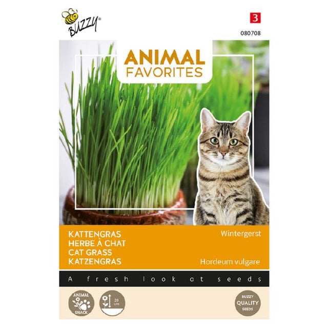 Animal Favorites Kattengras