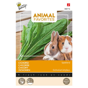 Animal Favorites Cichorei voor Konijn en Cavia