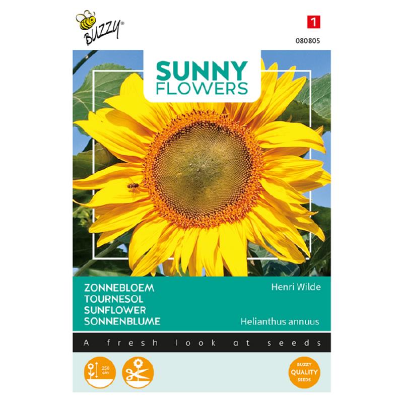 Buzzy® Sunny Flowers. Sonnenblumen-King Kong