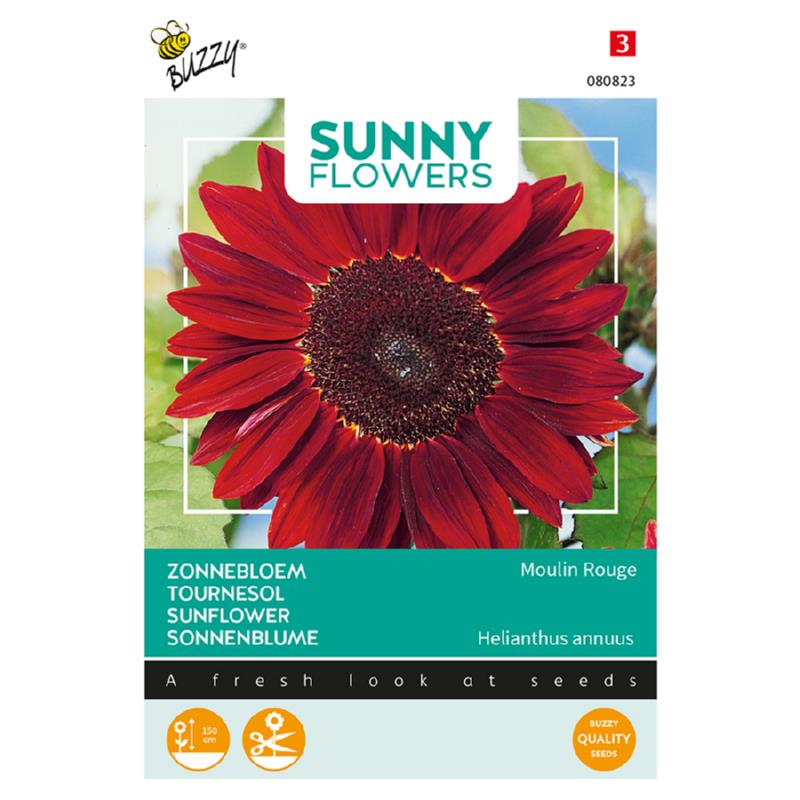 Buzzy® Sunny Flowers. Zonnebloem Moulin Rouge