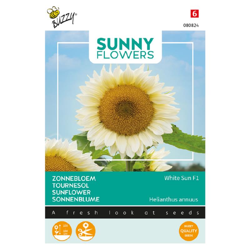 Buzzy® Sunny Flowers. Zonnebloem White Sun F1