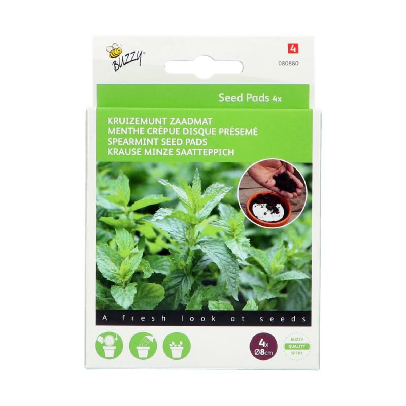 Buzzy® Seedpads Grüne Minze 4x 8cm