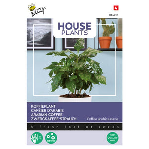 Buzzy® House Plants Coffea Arabica. Koffieplant