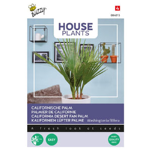 Buzzy® Plantes d'intérieur Palmier californien