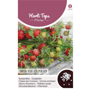 Fraises Pilstar Baron von Solemacher