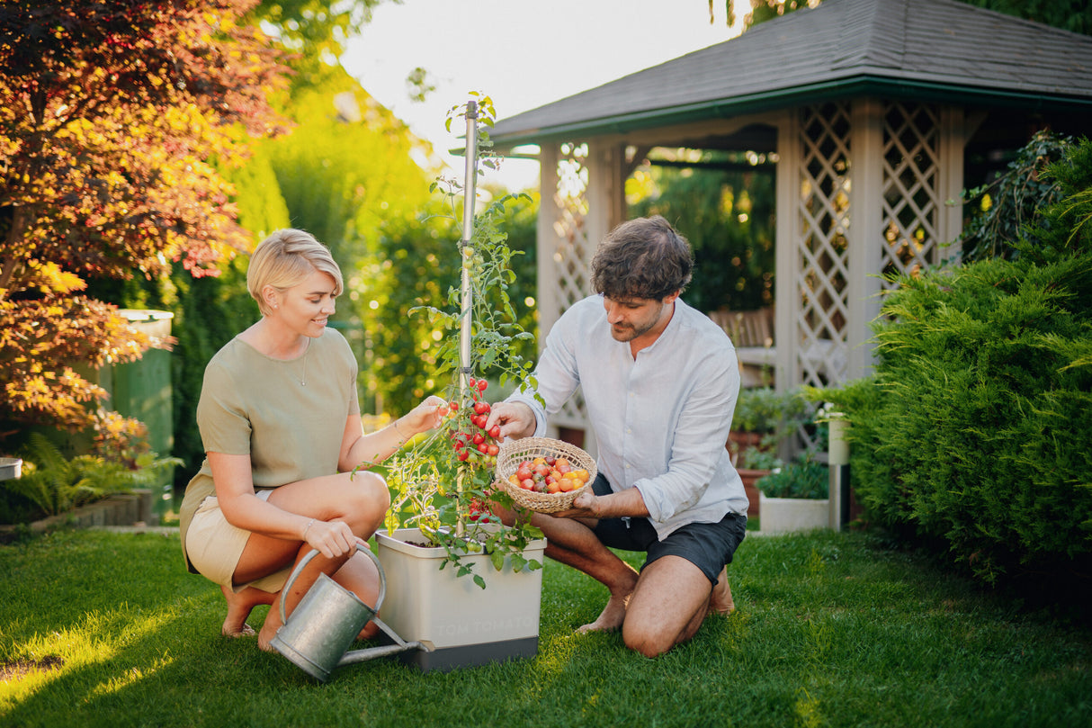 TOM TOMATO: der Tomatentopf mit Wasserreservoir &amp; Kletterhilfe