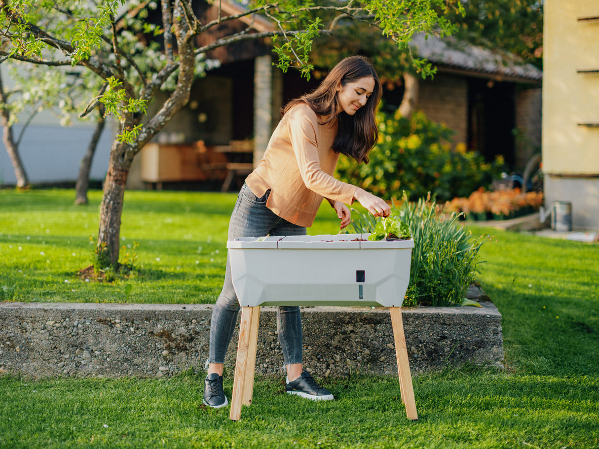 SAMMY SALAD – smarte Aufzuchtbox mit Wasserreservoir und Deckel