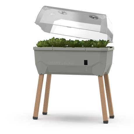 SAMMY SALAD – smarte Aufzuchtbox mit Wasserreservoir und Deckel