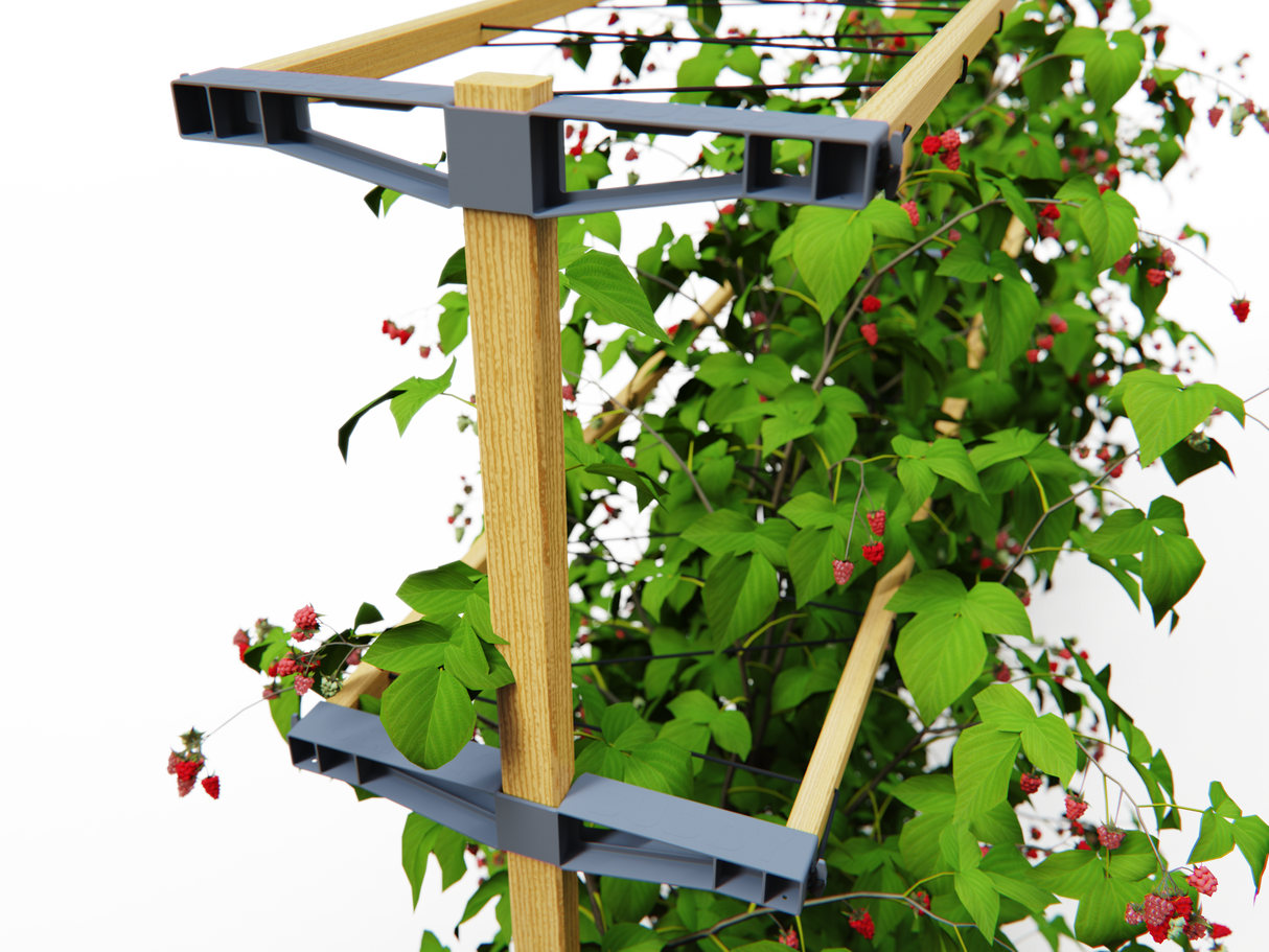 Berry Buddy – stabile Stütze (120 cm breit)