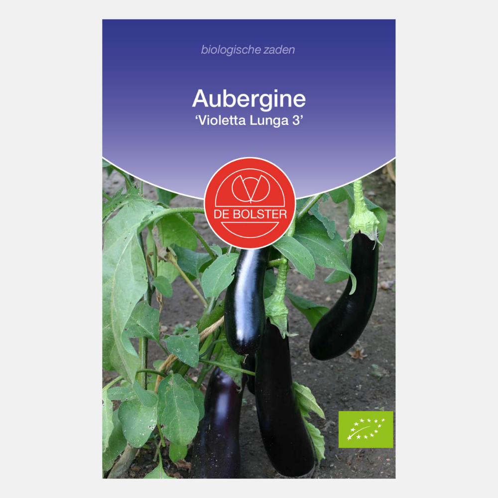 Aubergine 'Violetta Lunga 3' BIO