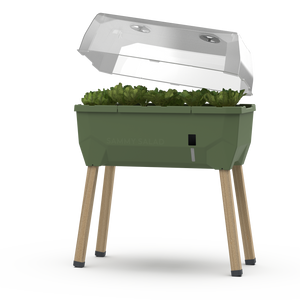 SAMMY SALAD – smarte Aufzuchtbox mit Wasserreservoir und Deckel