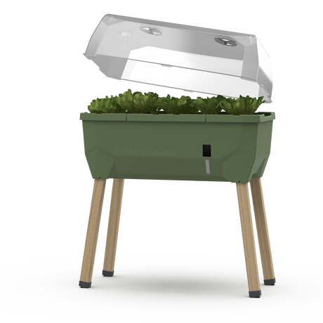 SAMMY SALAD – smarte Aufzuchtbox mit Wasserreservoir und Deckel