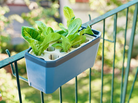 HARRY HERBS - Hanger voor het balkon (2-delig)