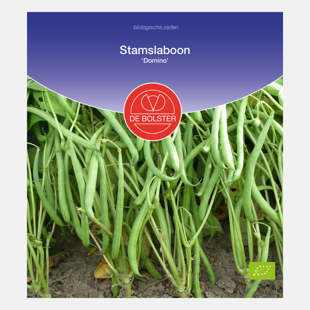 Runner bean 'Domino' BIO