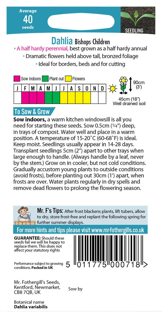 Dahlia dahlia x variabilis Bishops Children  -  40 Zaden