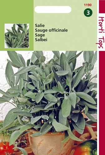 Sauge - contenu : 1 gramme