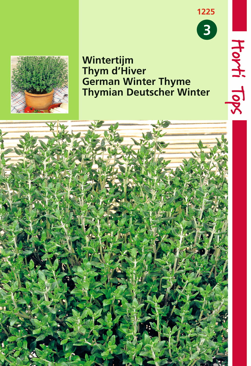 Thym. Véritable hiver (Thymus Vulgaris) 0,5 gramme