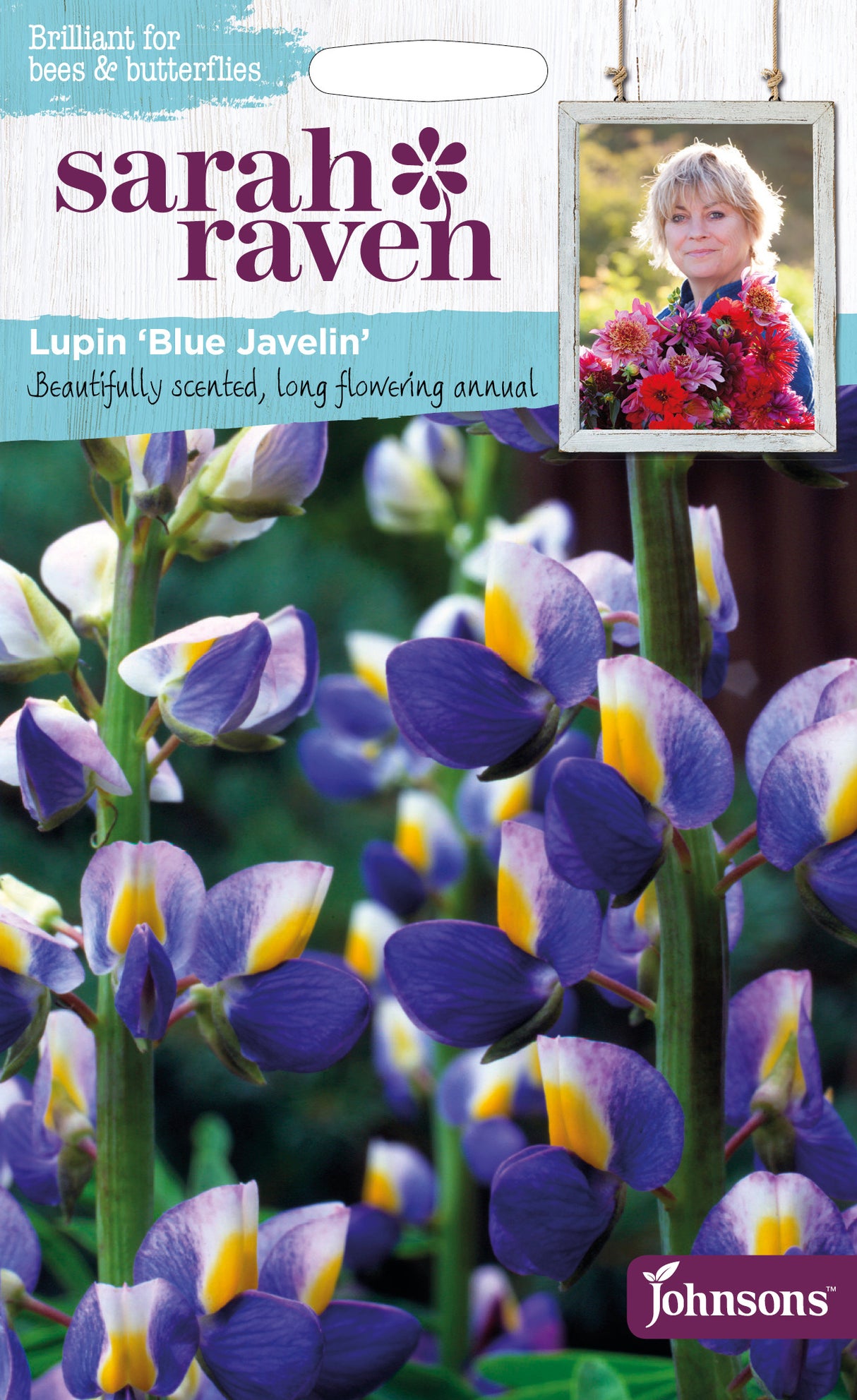 Lupin 'Javelot Bleu'