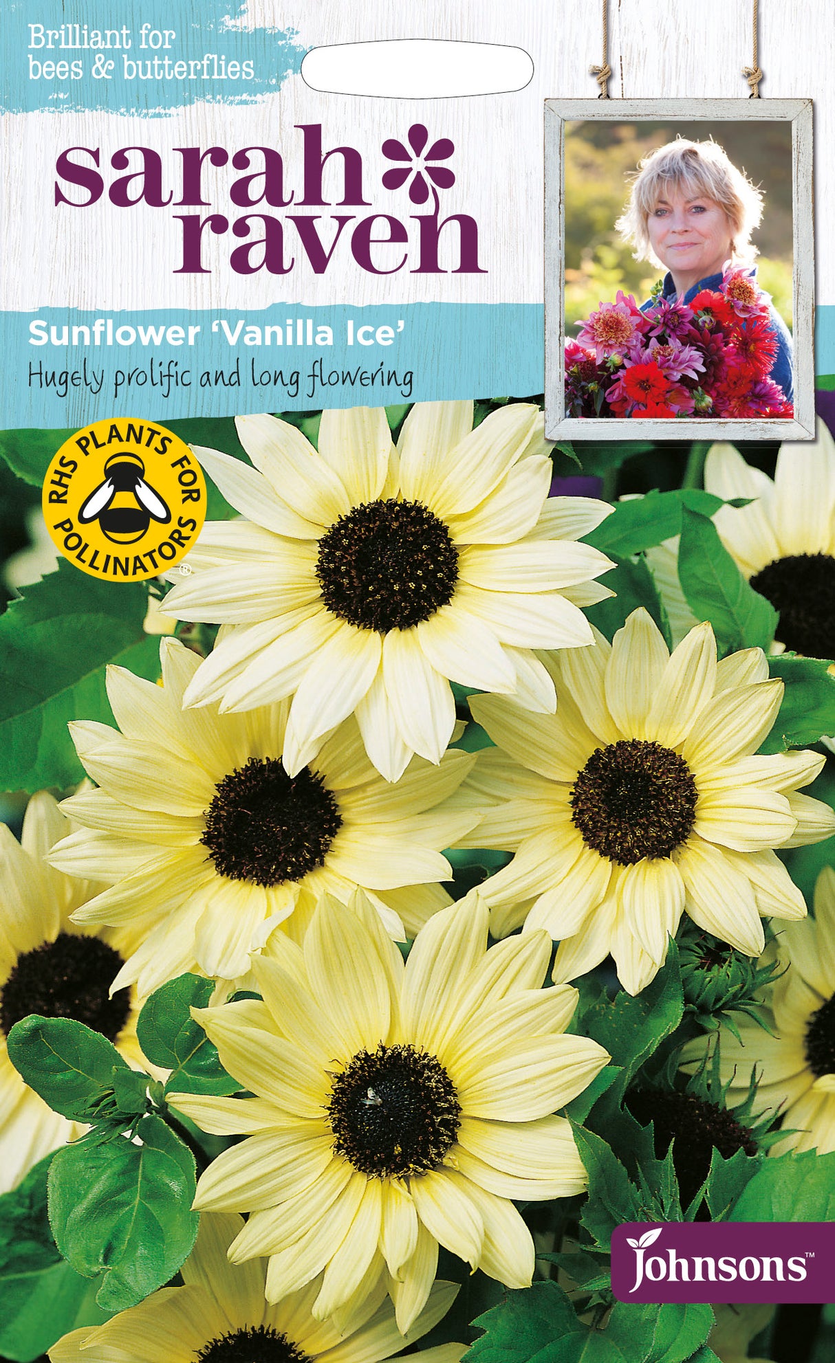 TOURNESOL- Vanilla Ice (cont.: 40 graines)