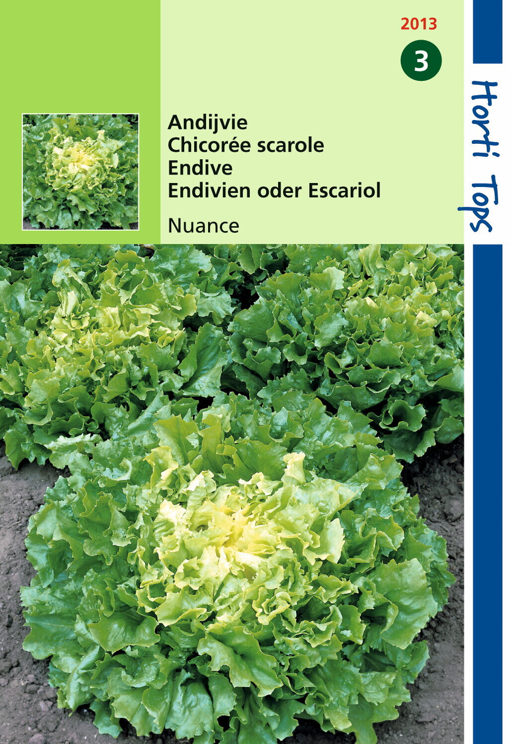 Endive Nuance 1 gramme