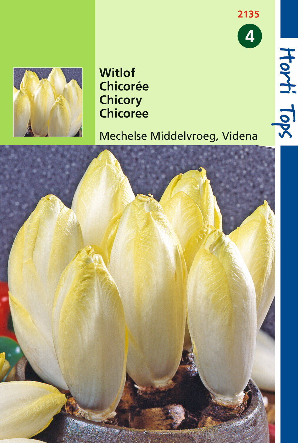 Witlof Mechelse Middelvroeg -Videna 2.5 gram