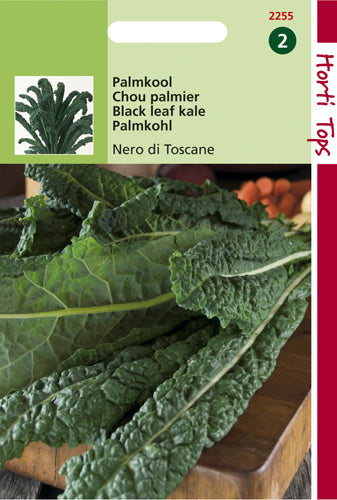 Chou de Palme Nero di Toscane - contenu: 2 grammes