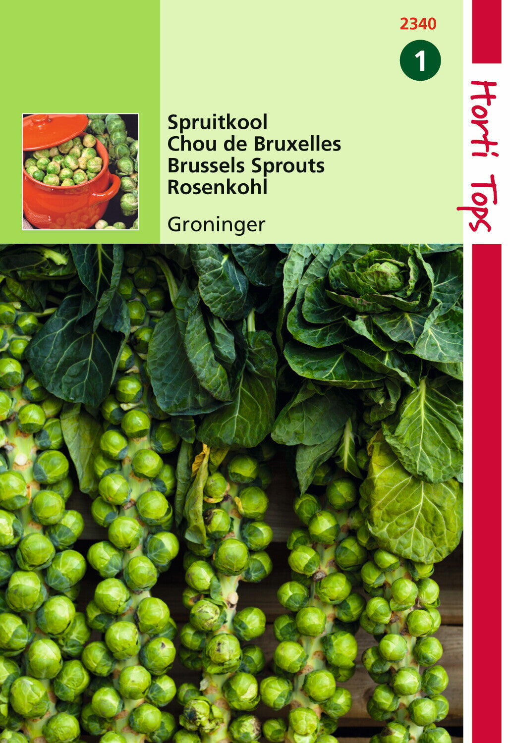 Spruitkool Groninger 2 gram