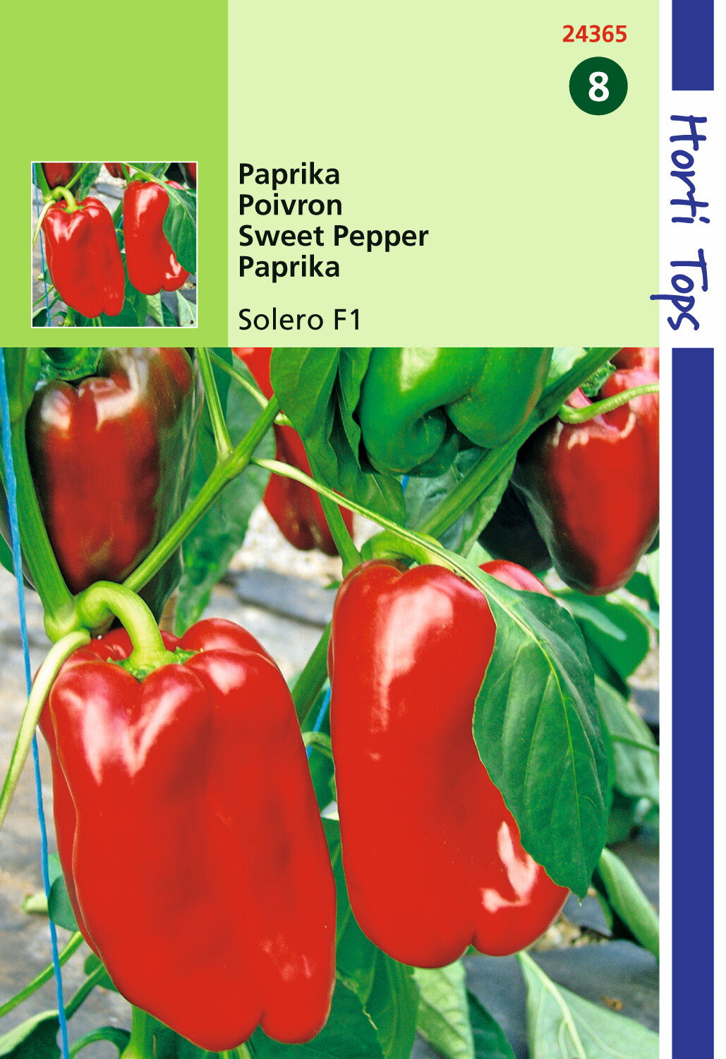 Paprika - Solero F1