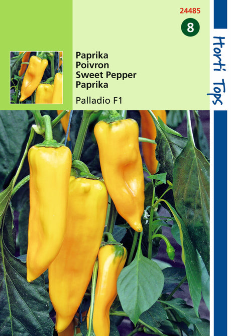 Paprika Palladio F1