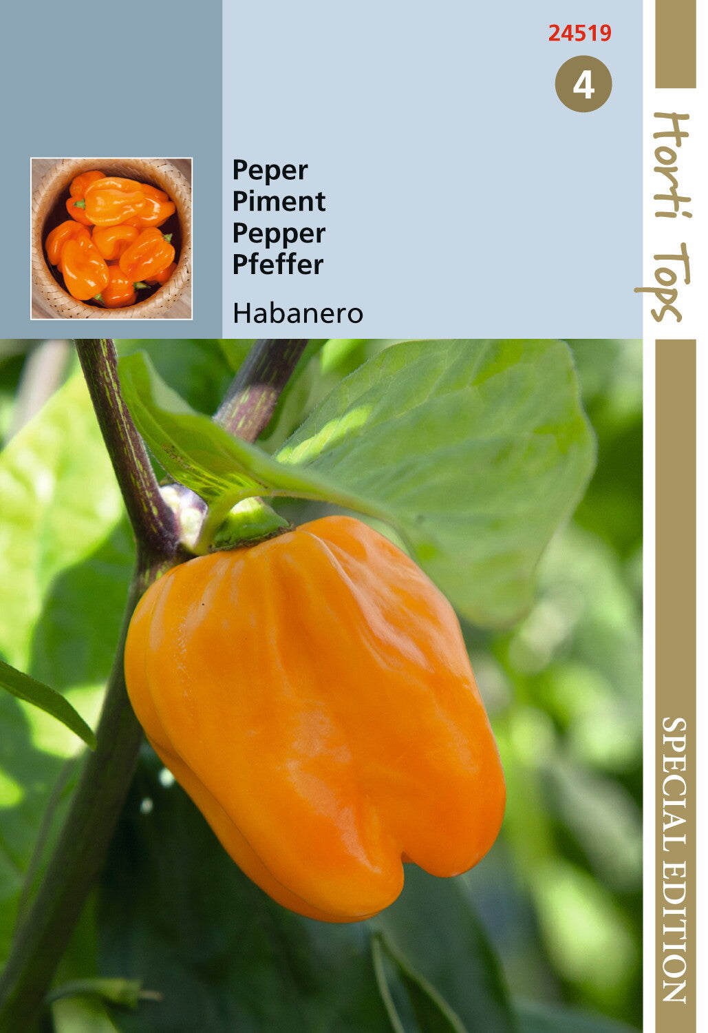 Pfeffer Habanero Orange 10 Samen – 300000 Scoville