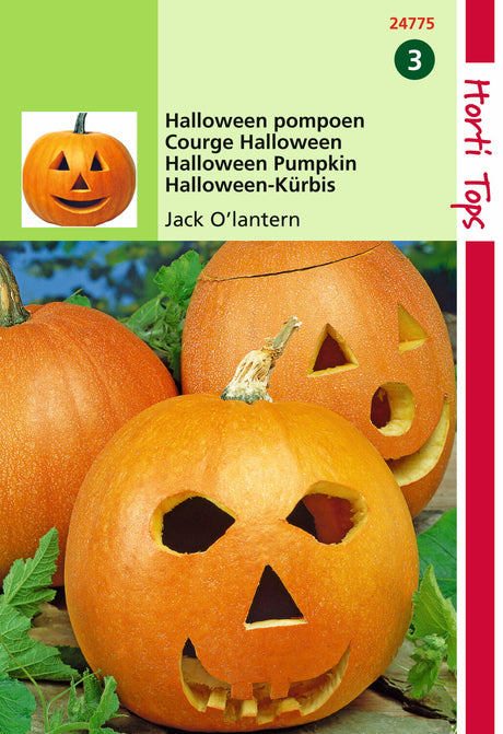 Pompoenzaad Jack O'Lantern (Cucurbita Pepo)