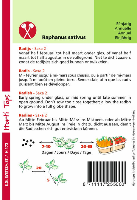 Radis - Saxa 2 - 10 grammes Hortitops