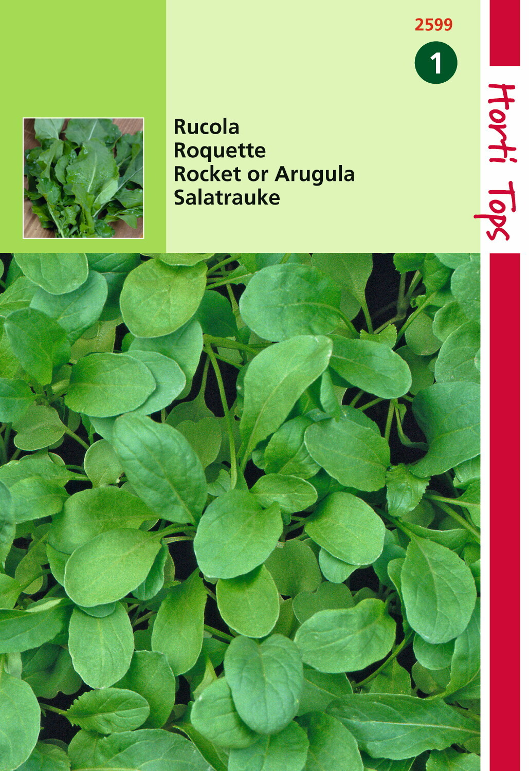 Rucola Coltivata (Eruca (Vesicaria) Sativa) 5 gram