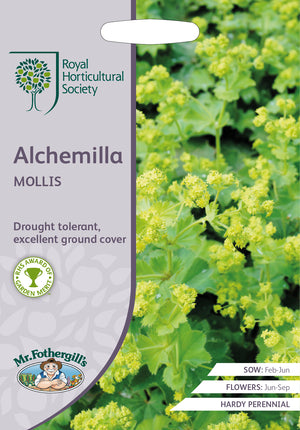 Frauenmantel Alchemilla mollis – 200 Samen