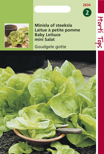 Mini-Salat Gotte Jaune D'Or - Inhalt: 3 Gramm