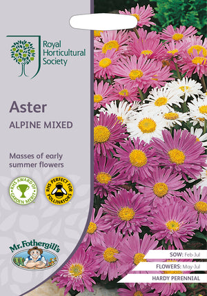 Aster aster alpinus Alpine Mixed – 250 Samen