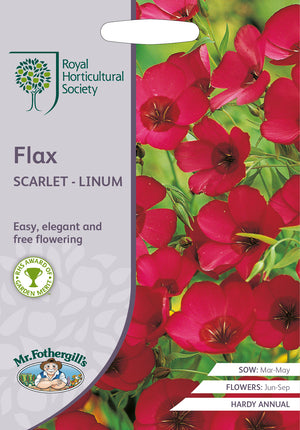 Roter Flachs Linum grandiflorum Flachs Scarlet – 500 Samen