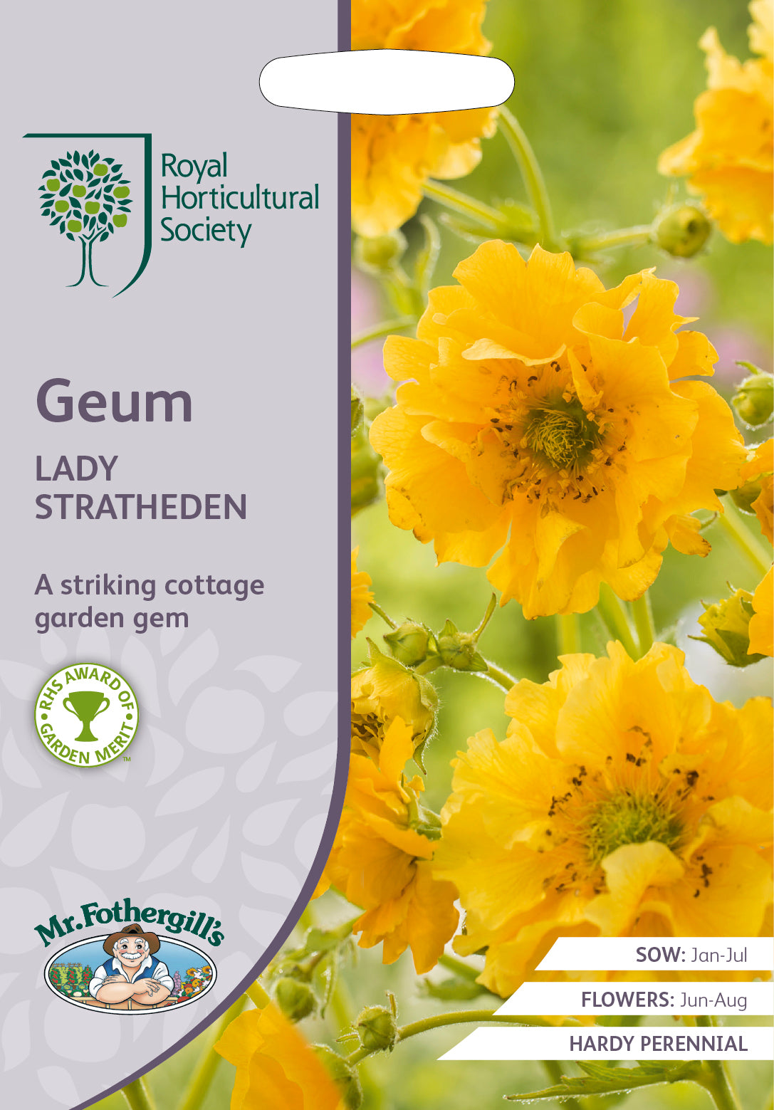 Aventhus geum chiloense Lady Stratheden – 50 Samen