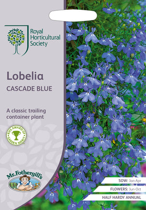 Lobelia erinus Cascade Blue  -  2500 Zaden