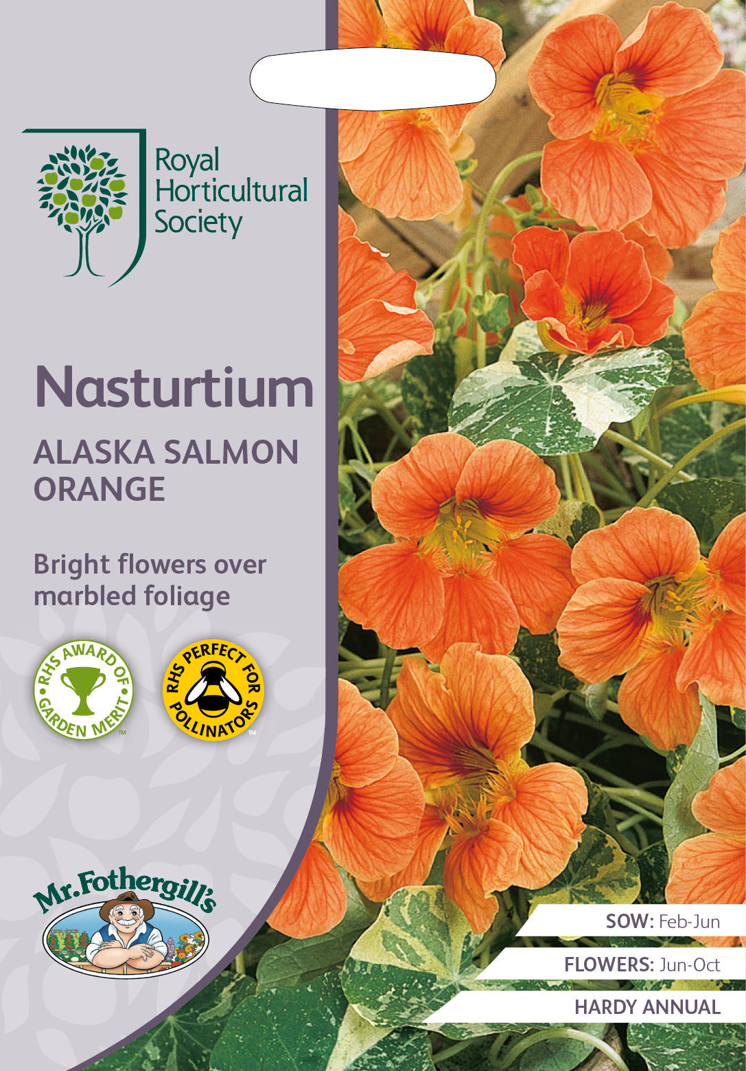 Oost Indische Kers nasturtium Alaska Salmon Orange  -  25 Zaden