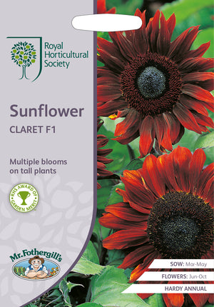 Sonnenblume Claret F1 – 40 Samen