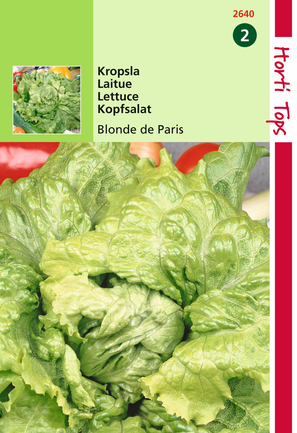 Laitue Batavia Blonde (Laitue-Endive) 3 grammes